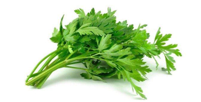 how much water does parsley need
