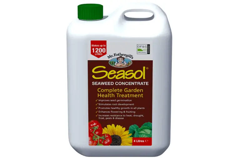 seasol succulents