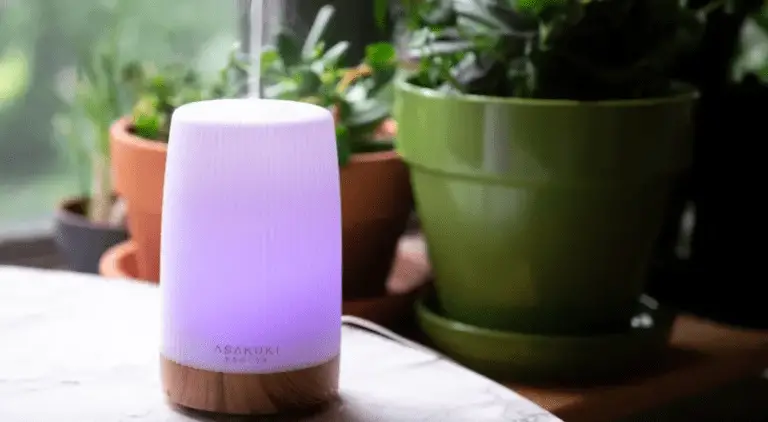 diffuser as humidifier for plants